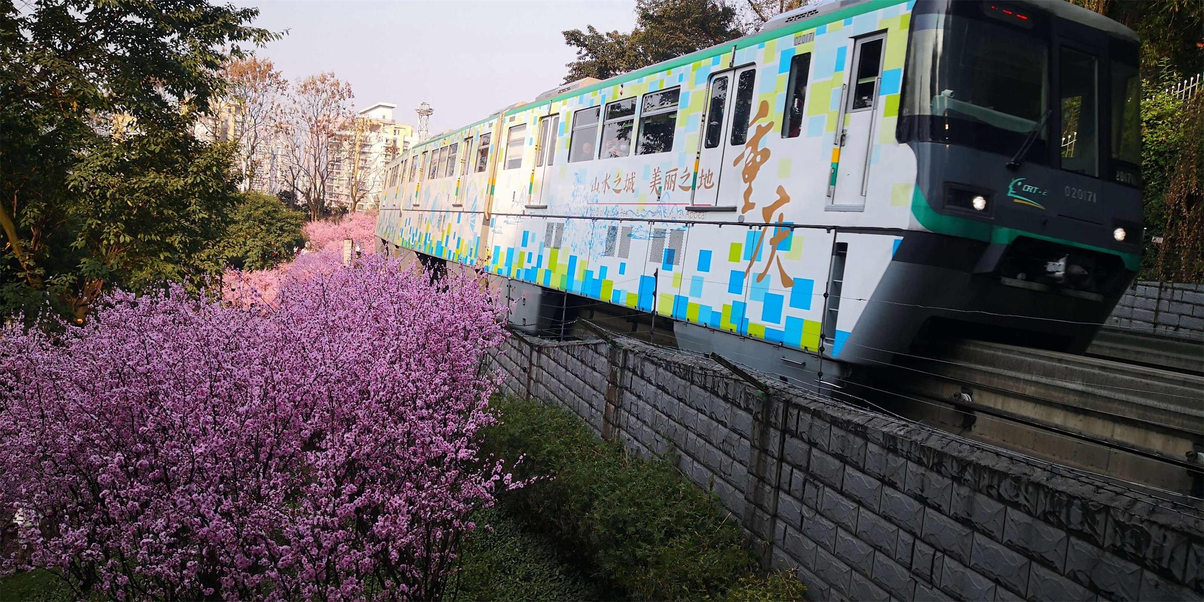 1686816794145256.jpeg (1).jpeg